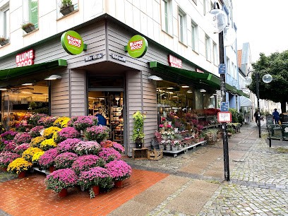 BLUME2000 Eckernförde, Blumenladen in Eckernförde