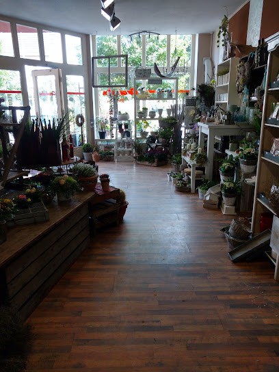 Grashalm Floristik, Blumenladen in Pritzwalk