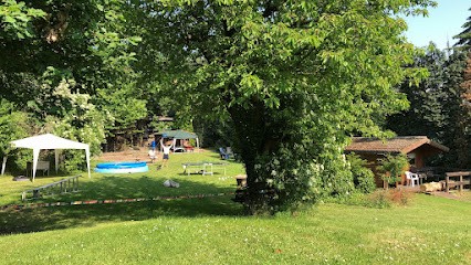 Hydrokulturen Gräfenkämper GmbH, Blumenladen in Dortmund