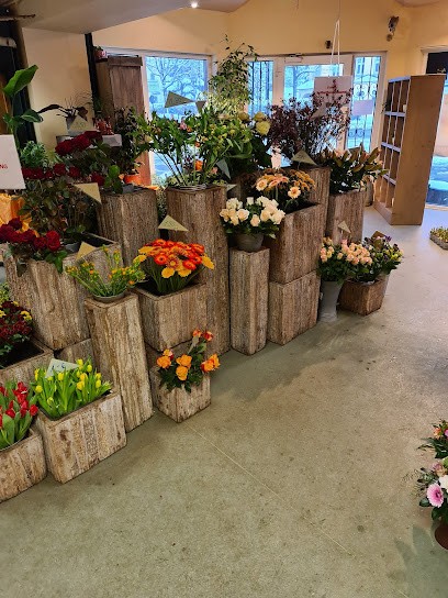 Blumen Busch, Blumenladen in Radevormwald