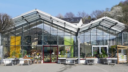 Blumengalerie Albert, Blumenladen in Mömbris