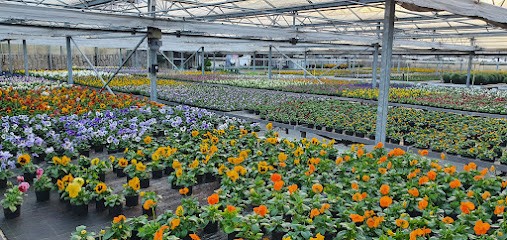 Christian Ruf, Blumenladen in Durbach