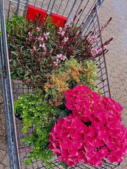 Gartencenter Sopora CM E. K., Blumenladen in Walsrode