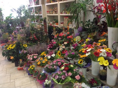 Lany's Blumen, Blumenladen in Zittau