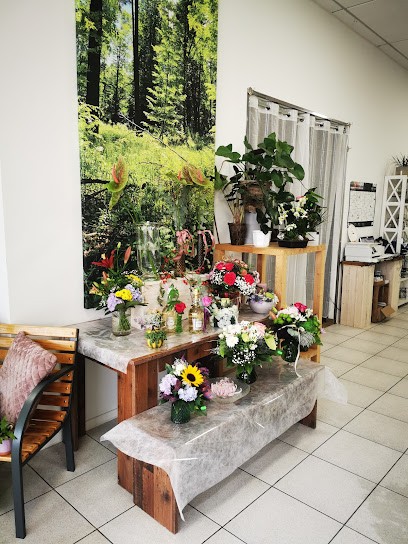 Blumen Baier IMMERGRÜN, Blumenladen in Schwedt