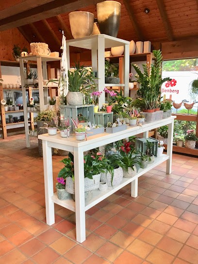 Blumen Quellenberg Inh. Friedr.Wilh. Quellenberg E.K. Nachf. Khan-Quellenberg, Blumenladen in Kamen