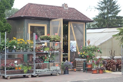 Pflanzen & Floristik Brademann, Blumenladen in Teltow