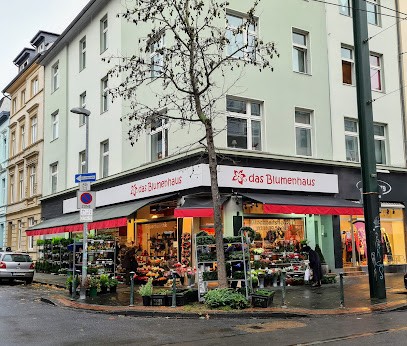 Das Blumenhaus, Blumenladen in Düsseldorf