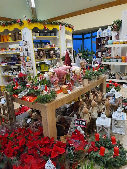 Holland Blumen Shops, Blumenladen in Falkenstein