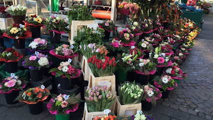 Flowerking blumenhandel, Blumenladen in Siegburg