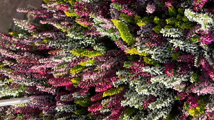 Blumen Lenzen / Blumenhandel Roland Lenzen E.K., Blumenladen in Heinsberg