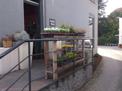 Blumen Bräumer, Blumenladen in Bretten