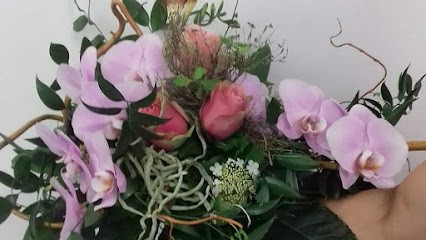 Blumen & Pflanzen, Blumenladen in Falkensee