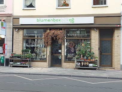 blumen box bilk, Blumenladen in Düsseldorf