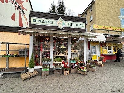Blumenhaus Frühling Kassel, Blumenladen in Kassel
