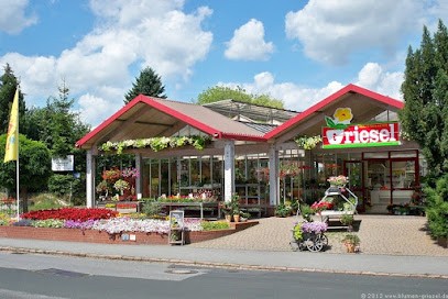 Blumenfachgeschäft & Gärtnerei Griesel, Blumenladen in Meißen