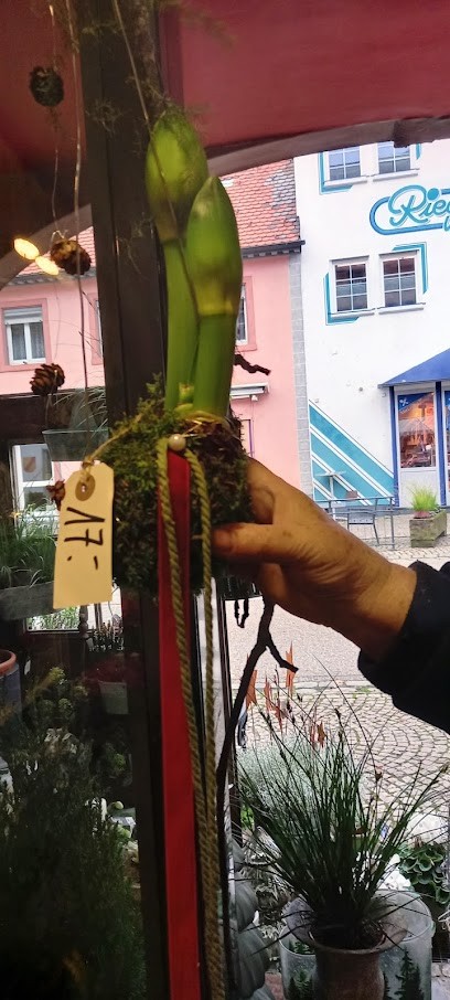 Blumen Naturelle, Blumenladen in Elzach