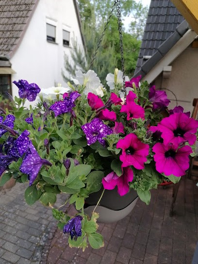 Blumen Wicker, Blumenladen in Finnentrop