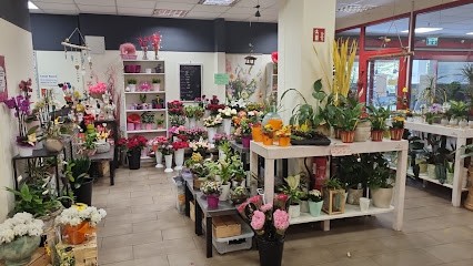 Blumen Mariella-Die BlumenFee, Blumenladen in Meinerzhagen