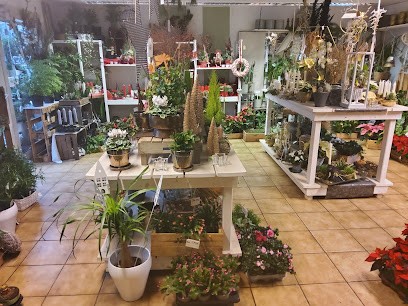 Holland Blumen Shop, Blumenladen in Vlotho