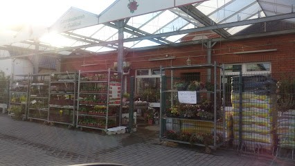 Andreas Fröhlich, Blumenladen in Rathenow