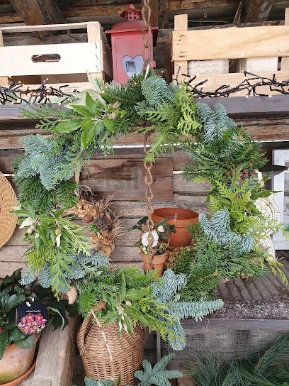 TrödelBlume, Blumenladen in Lenningen