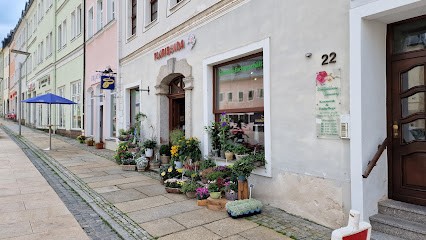 Floribunda GmbH, Blumenladen in Schneeberg