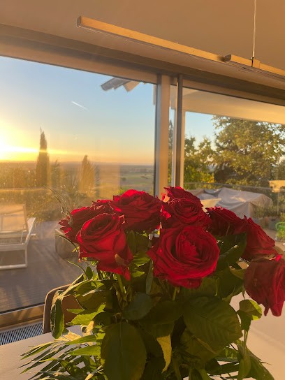 Weinheimer Blumenhaus, Blumenladen in Weinheim