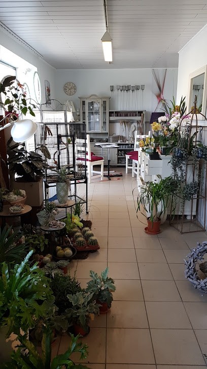 Blumenland Iris Kröber, Blumenladen in Frohburg