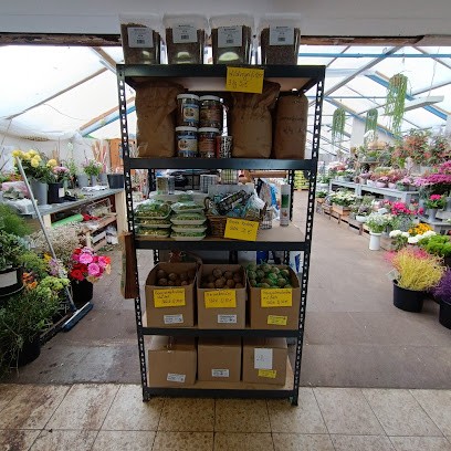 Haus Der Blumen Inh. Annelie Albertsen, Blumenladen in Wanderup