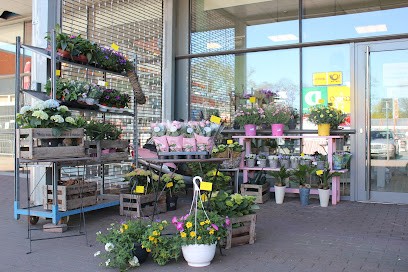 Blumenatelier Lübeck, Blumenladen in Lübeck