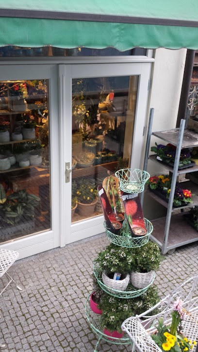 Blumen Hoffmeister, Blumenladen in Osterwieck