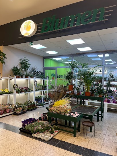 Blumeninsel, Blumenladen in Husum