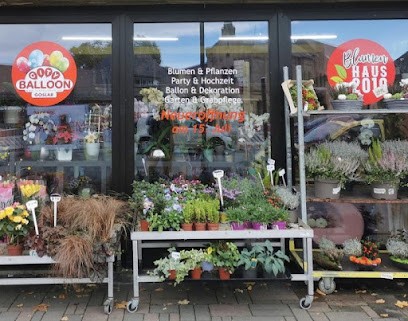 Blumenhaus 2010, Blumenladen in Goslar