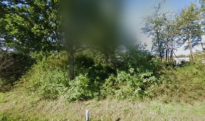 Sun-Flowers Service GmbH, Blumenladen in Fuldabrück