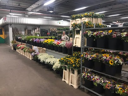 Christian Lang Blumenhandel, Blumenladen in Mainstockheim