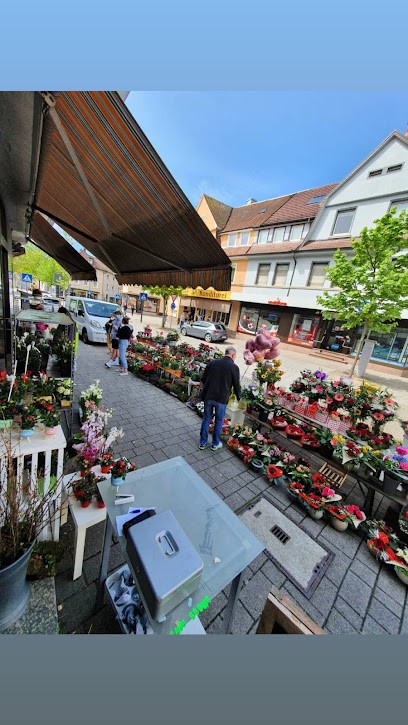 Cataleya Der Blumenladen, Blumenladen in Mühlacker
