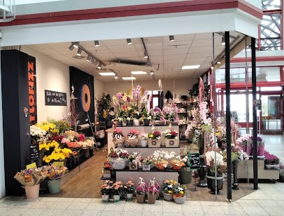 florizz- Blumen, Blumenladen in Löbau