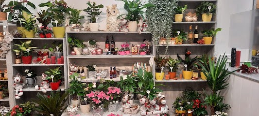 Blütenträume Hopperdietzel, Blumenladen in Radeberg