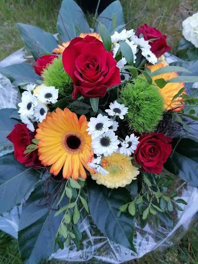 Binderei Hase, Blumenladen in Jatznick