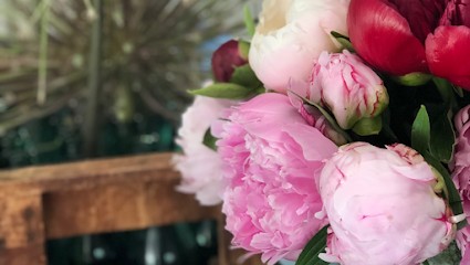 Blumen Gauch, Blumenladen in Herzogenaurach