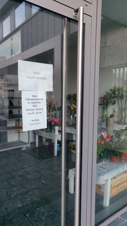 Blumenelfe Kassel, Blumenladen in Kassel