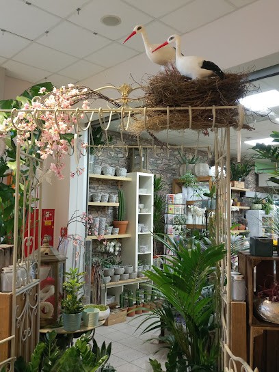 Floree, Blumenladen in Niederkassel