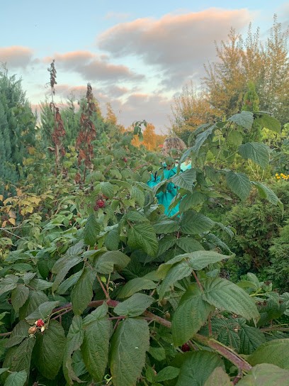 Gärtnerei Und Blumenbinderei Erwin Gehrung, Blumenladen in Rohr