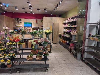 Bloomery, Blumenladen in Gifhorn