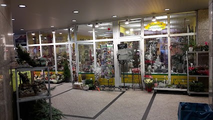 Blumen Schwisow GmbH & Co.KG, Blumenladen in Neustrelitz