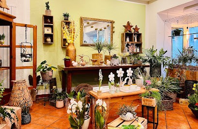 Günter Groll, Blumenladen in Beverungen