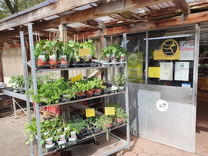 Frank Gürtler, Blumenladen in Rullstorf