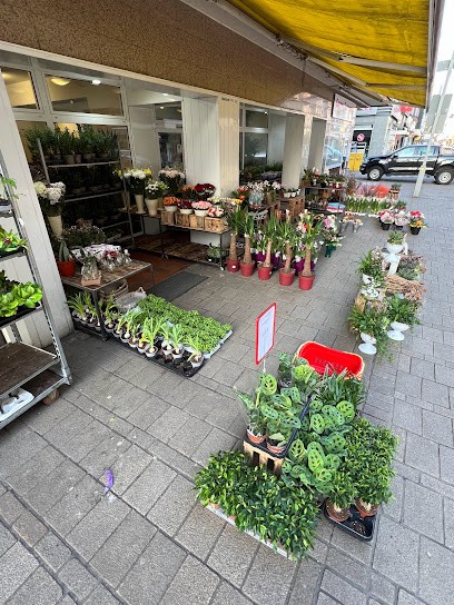 Der Blumenmann, Blumenladen in Oberhausen