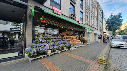 BLUME2000 Düsseldorf, Blumenladen in Düsseldorf